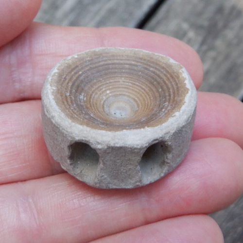 Rare aurora nc - 1.21",